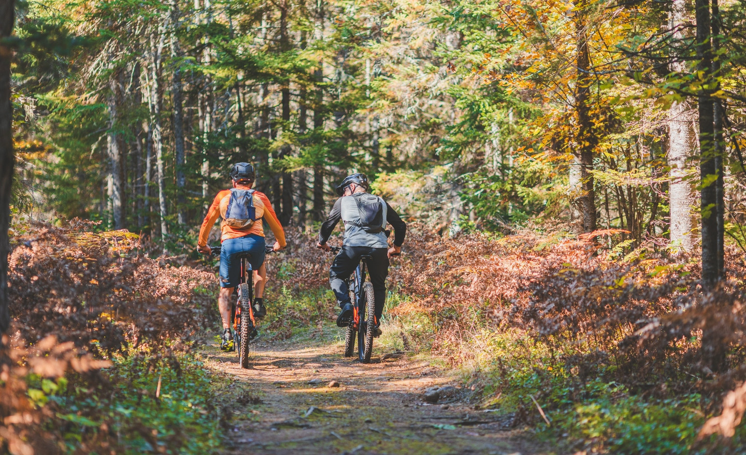Deux hommes font du vélo en forêt